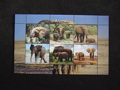 2011 ANIMALI Elefanti foglietto BF MALAWI