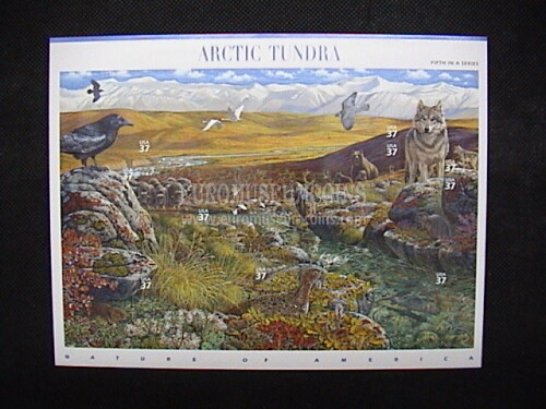 USA 2003 minifoglio Natura d' America ARCTIC TUNDRA