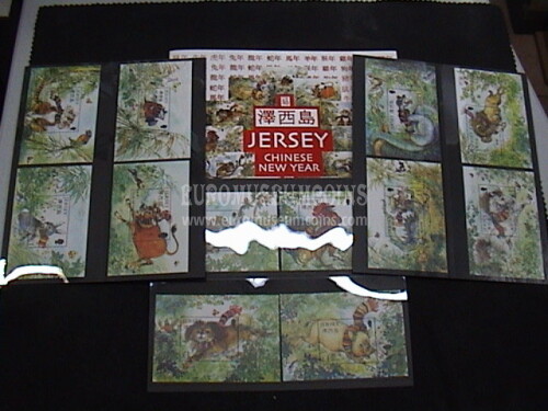 Jersey Zodiaco Cinese folder completo 12 BF 