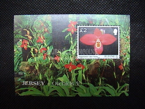 2004 Jersey foglietto francobolli Orchidee