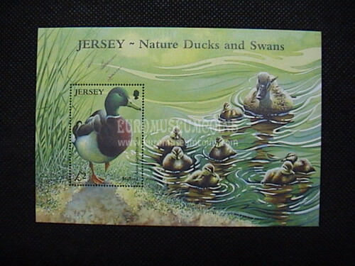 2004 Jersey foglietto francobolli TEMATICA : fauna anitre e cigni