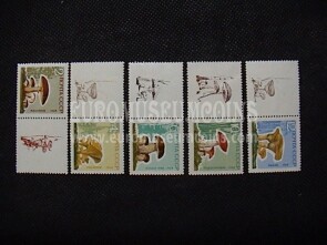 1963 U.R.S.S.francobolli Funghi 5 valori