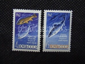 1962 U.R.S.S.francobolli Pesci 2 valori 
