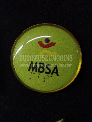 MBSA Pin  